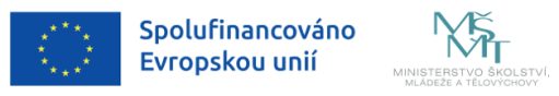 logo_EU_MSMT.png, 32kB